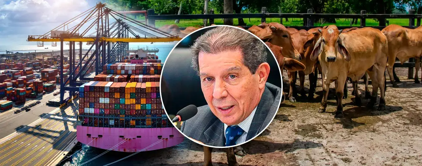 Gobierno de Gustavo Petro busca limitar exportaciones de carne