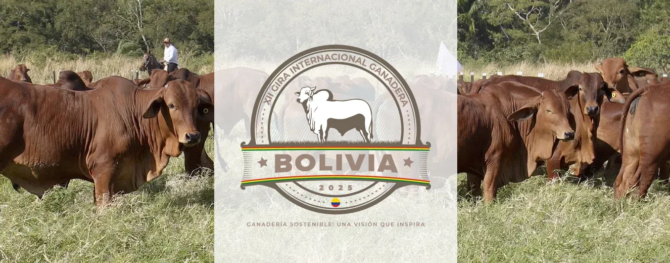 Gira Virtual Ganadera Bolivia