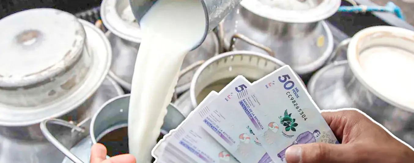 ¿Cómo debe un ganadero negociar la leche?