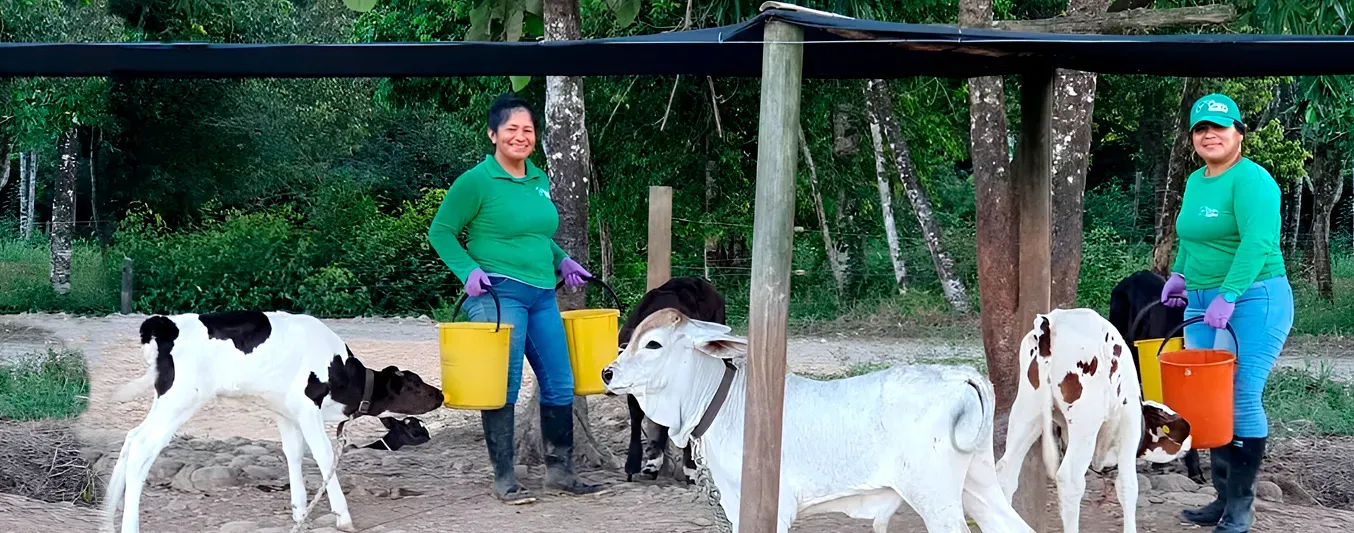 Terracleche, la ganadería donde las mujeres crían terneras