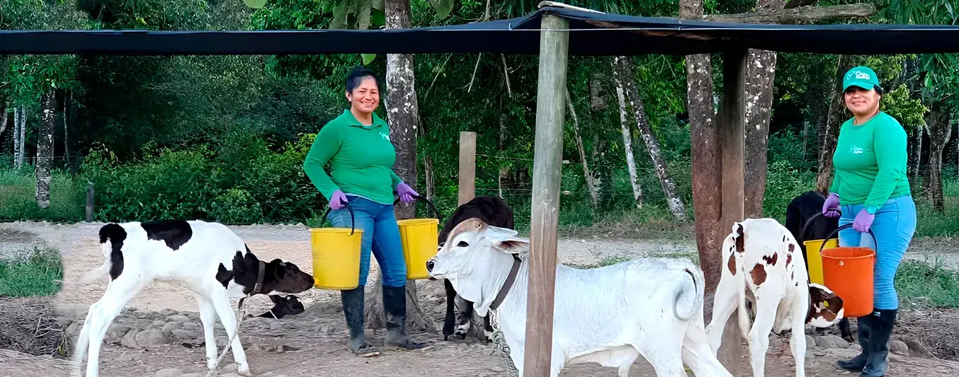 Terracleche, la ganadería donde las mujeres crían terneras