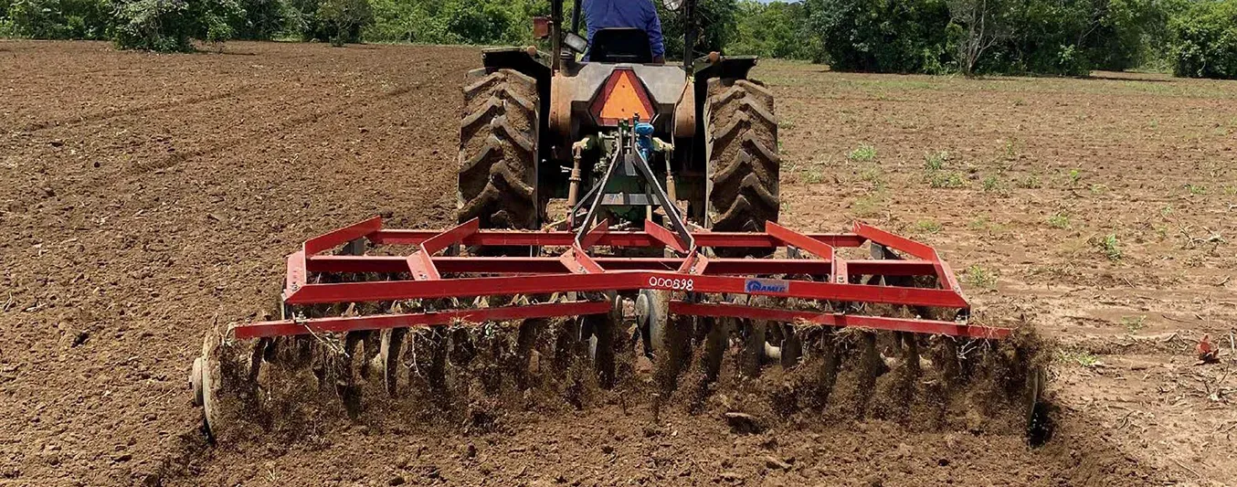 Cómo se prepara el terreno para un sistema agrosilvopastoril