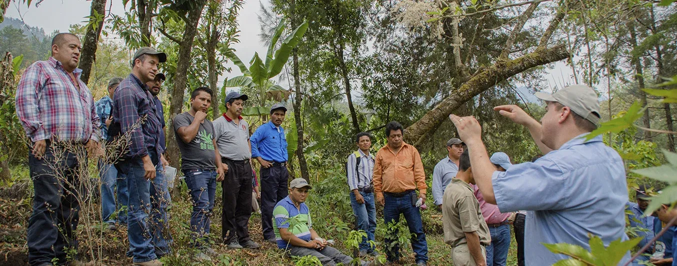 El rol estratégico del extensionista agropecuario en Cundinamarca