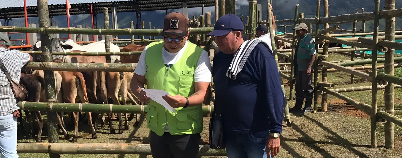 Aplauden inspecciones permanentes del ICA en Arauca