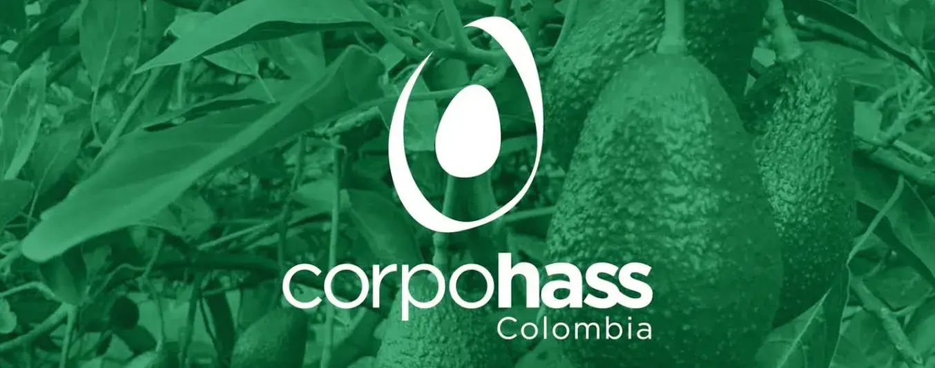 Corpohass