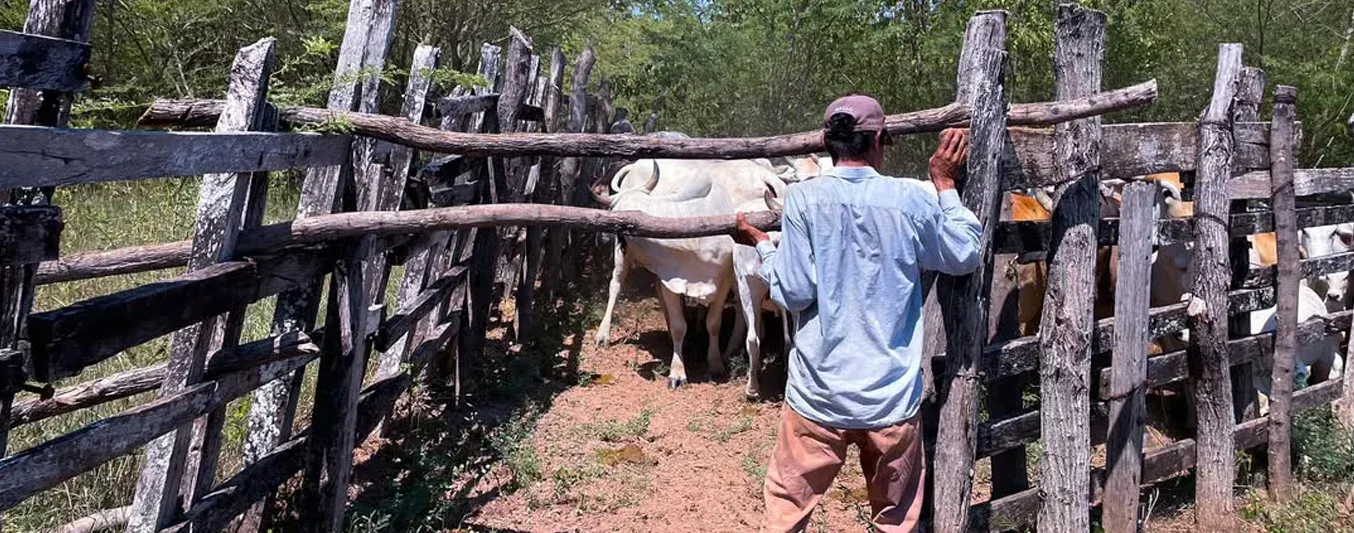 Ganaderos de Cundinamarca