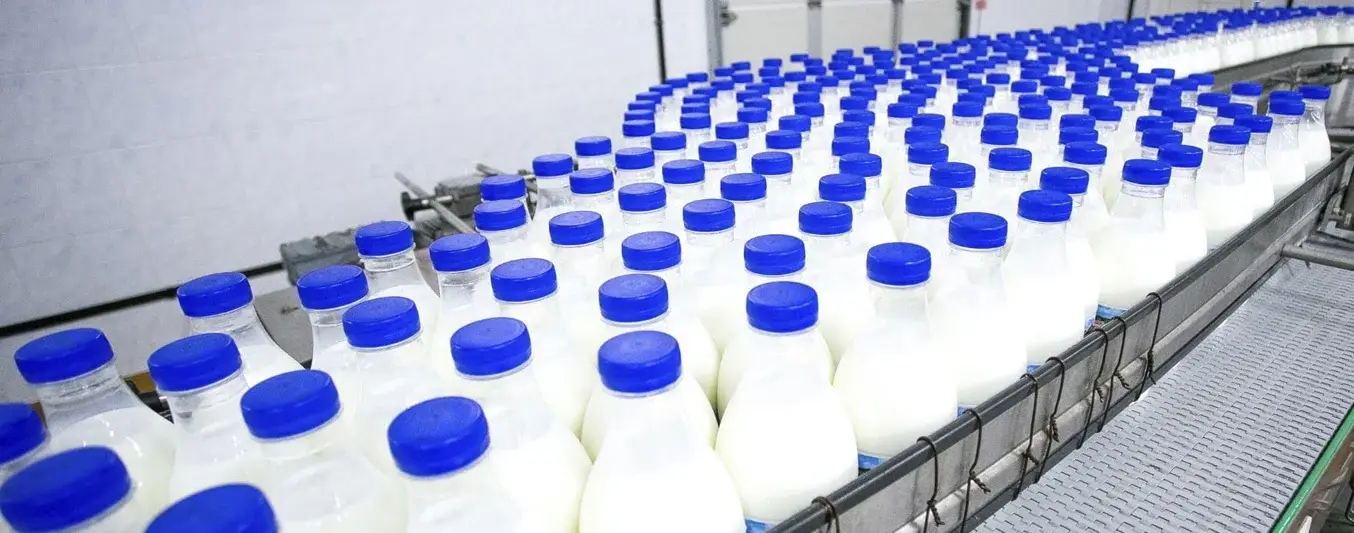 Fabrica de productos lacteos