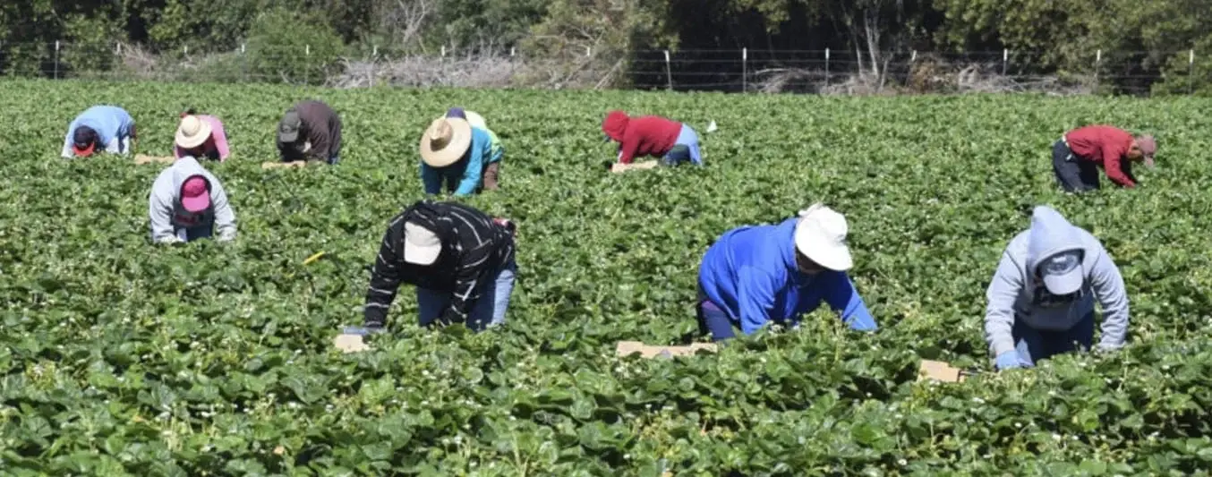 trabajadores del campo