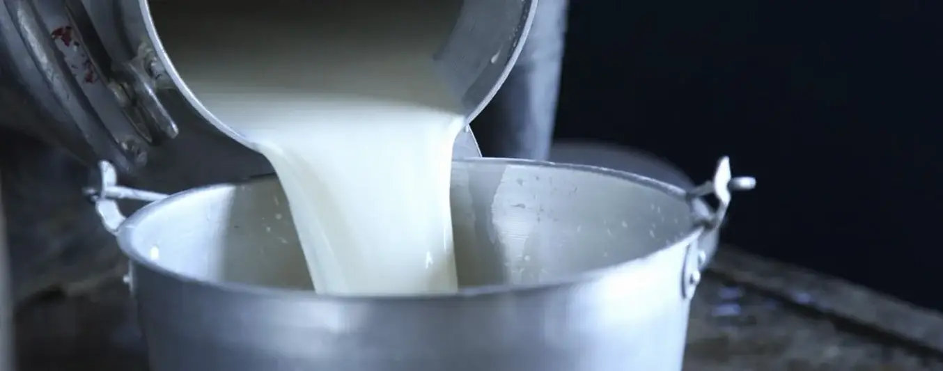 Comercio de leche en Córdoba y Sucre