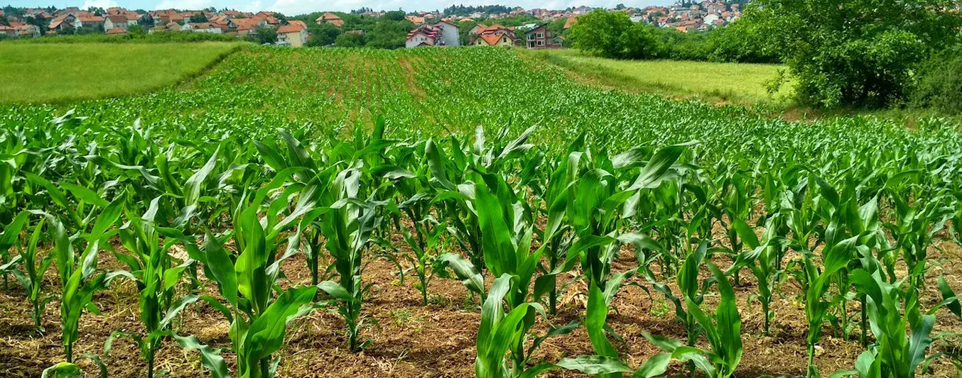 Lo que significa ue se logre derrocar las APPA