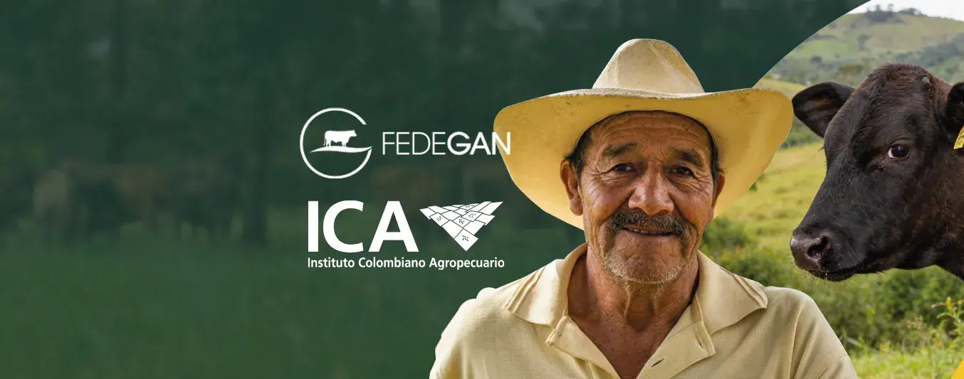 Acusan a Fedegán de irregularidades en el Sinigán por cuenta de un informe interno de la Contraloría al ICA