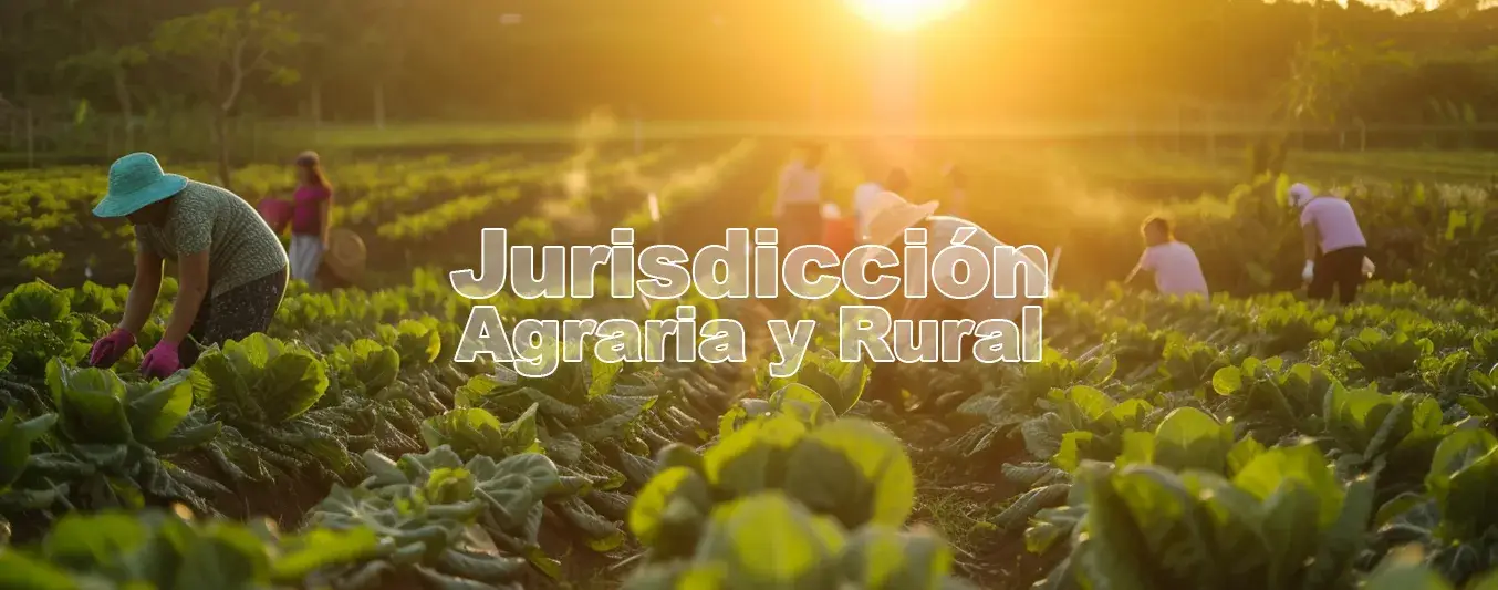 Qué está pasando con la Jurisdicción Agraria