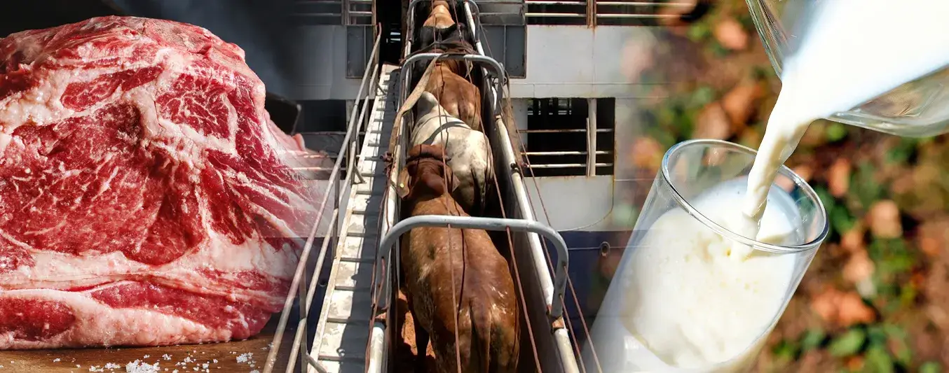 Balance de las exportaciones