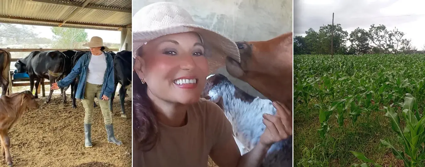 Mujer Emprendedora