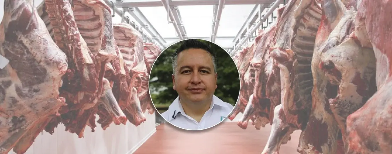 ¿Por qué no despegamos en exportaciones de carne?