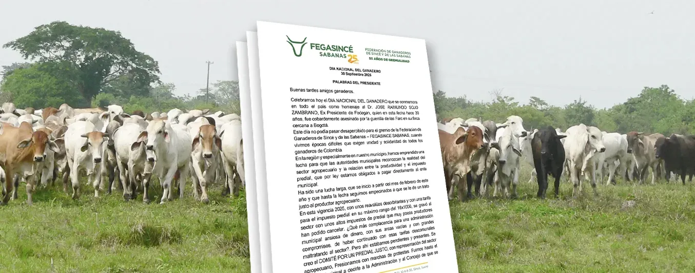 Carta de ganaderos de Sincé sobre la disminución en el predial