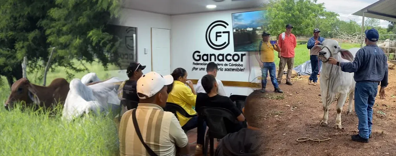 Qué se viene para Ganacor en este 2026