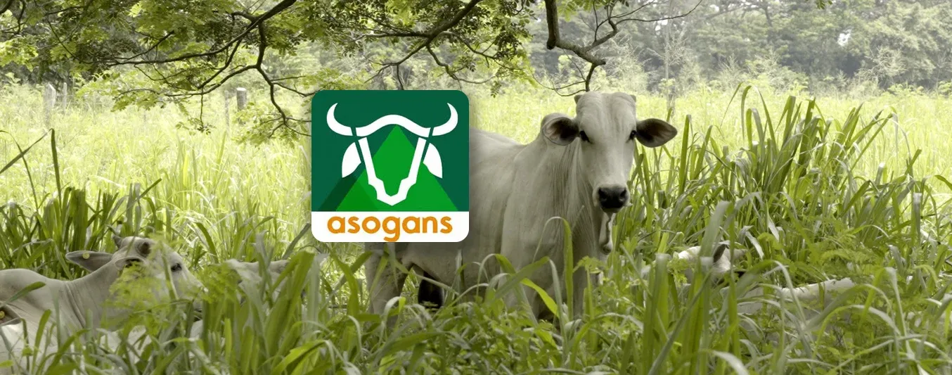 Tercer Encuentro Ganadera Sostenible Cauca Medio