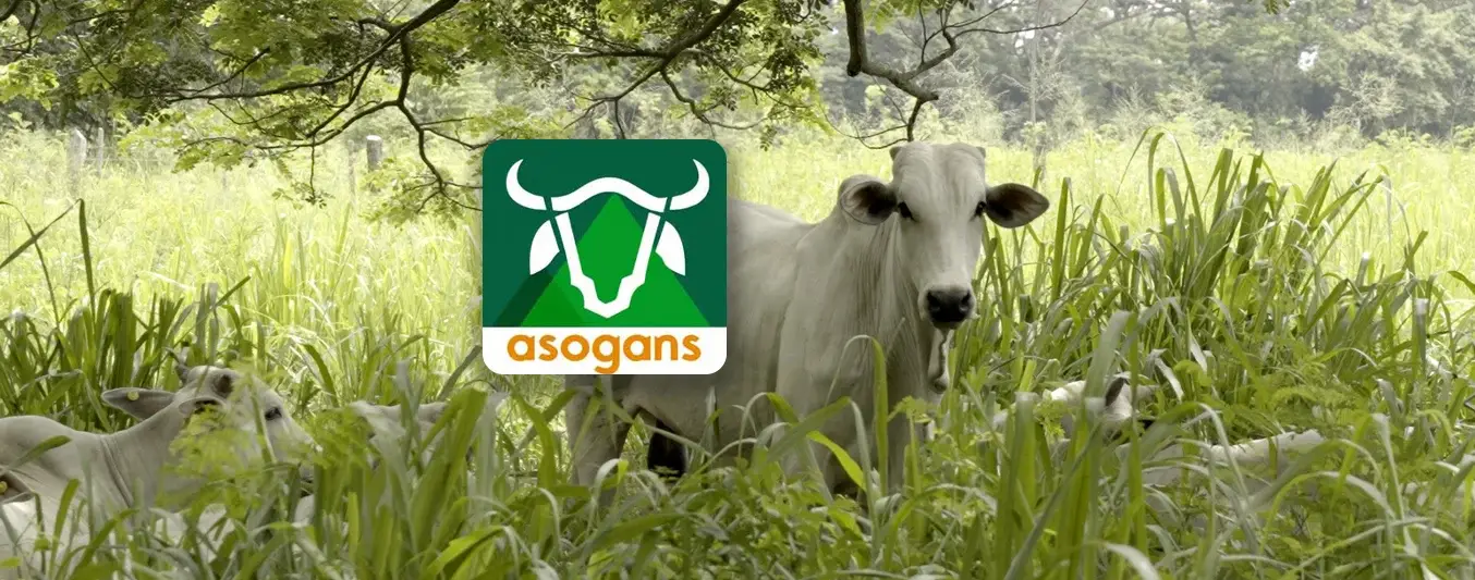 Tercer Encuentro Ganadera Sostenible Cauca Medio