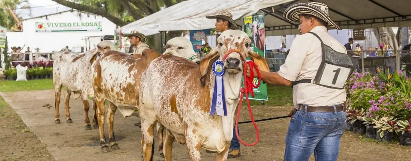 Eventos ganaderos en julio