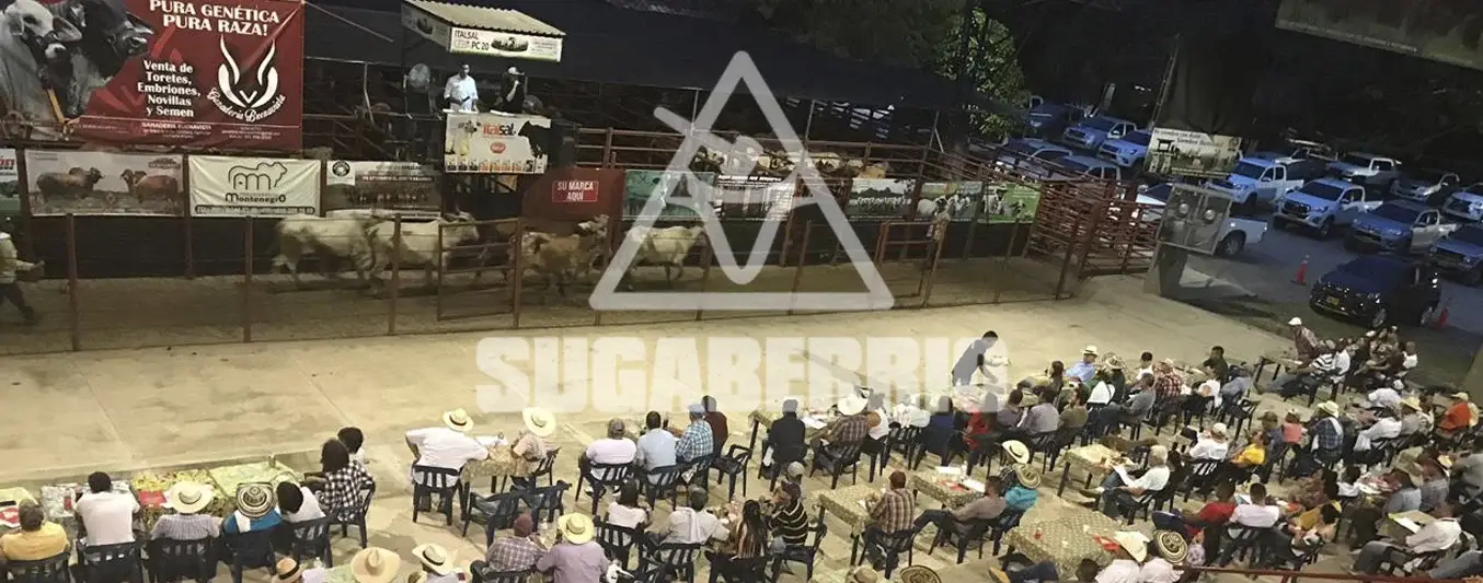 Sugaberrío