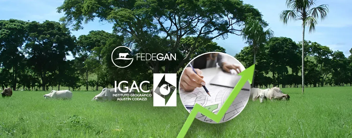 Reajustes del avalúo catastral