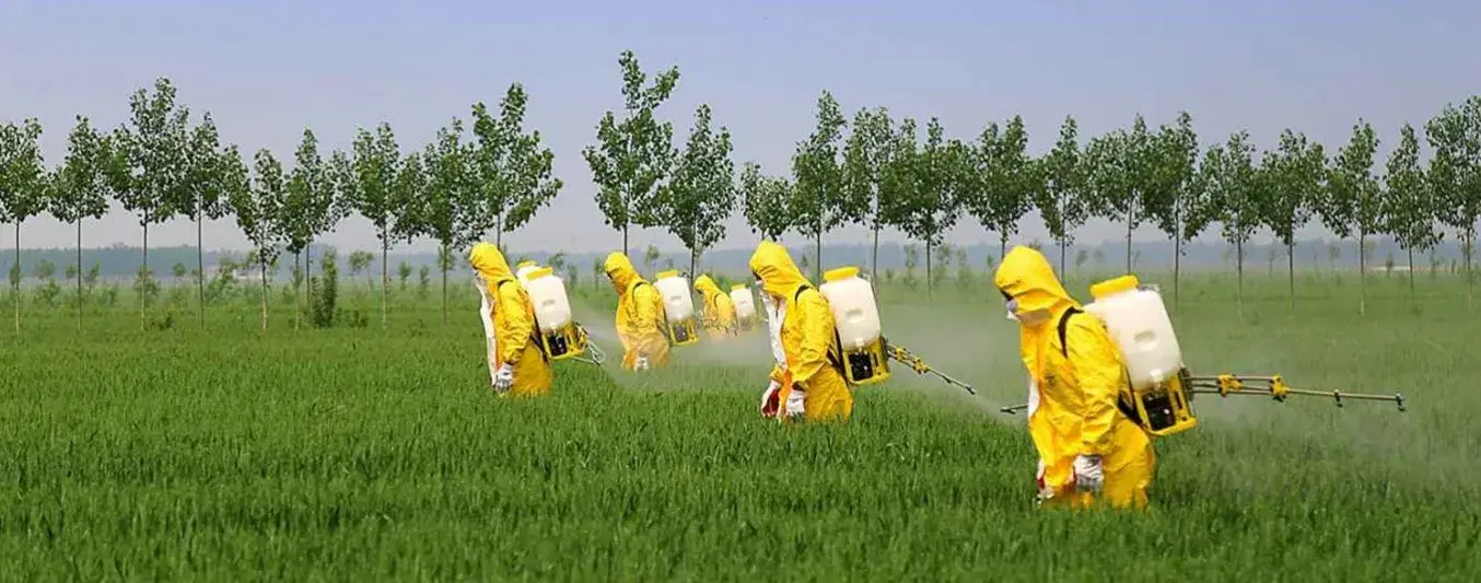 Cuáles son los efectos de los plaguicidas