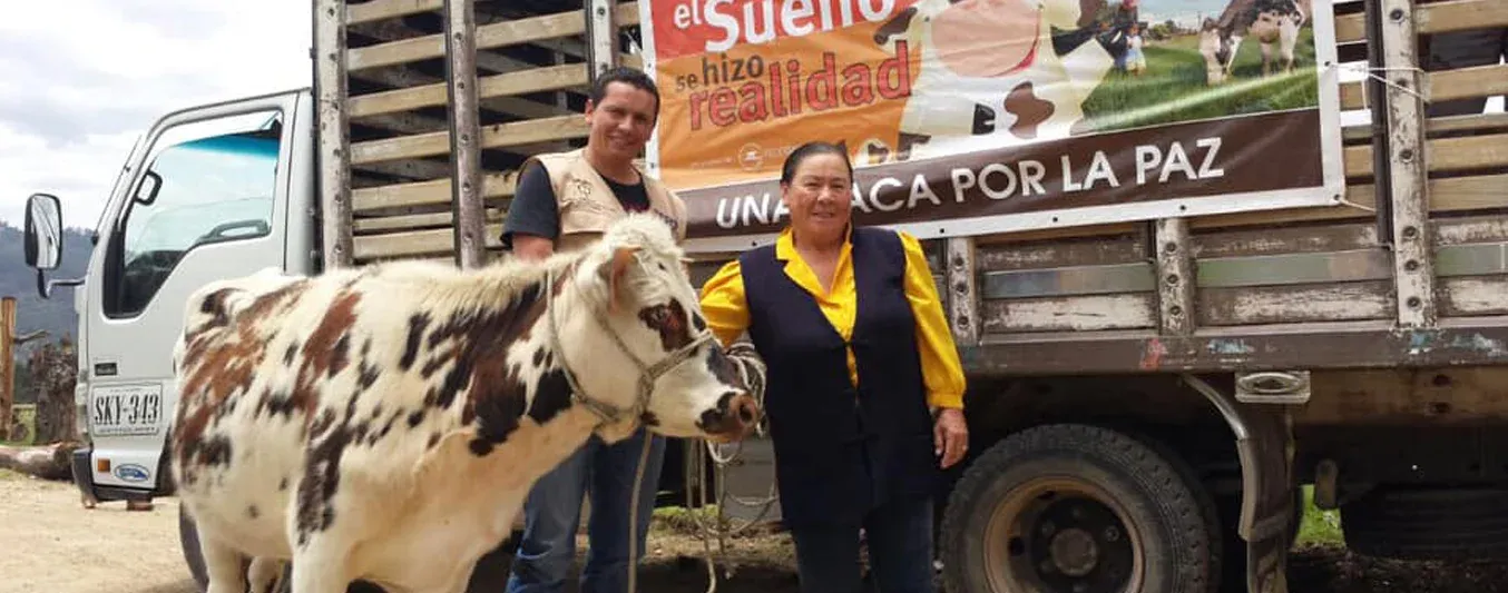 Vaca por la paz