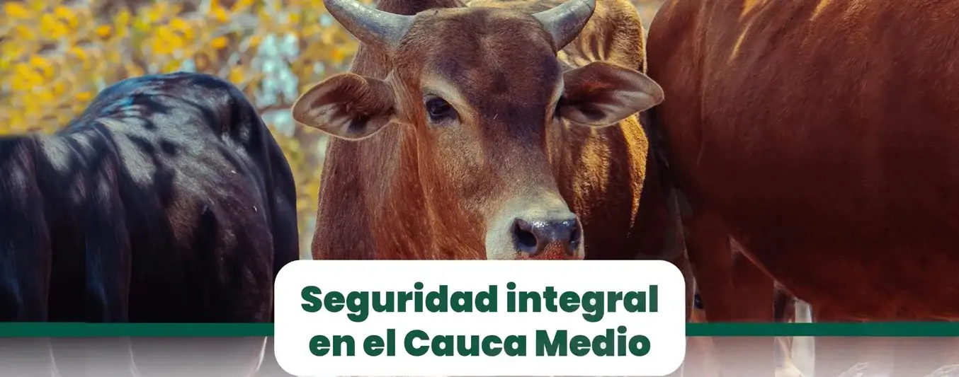 El Cauca medio tiene una nueva cita contra la seguridad