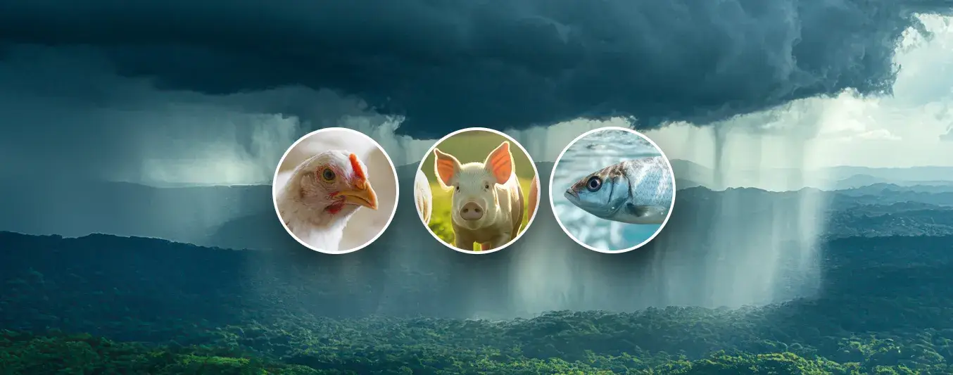 Productores sigan estas recomendaciones frente a las lluvias