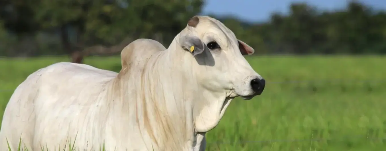 Hacienda San José se une con DeltaGen