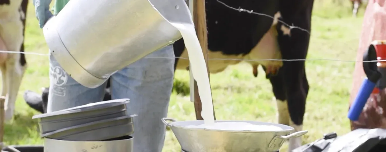 Manual práctico ganadero: Calidad de la leche y carne como factor diferenciador
