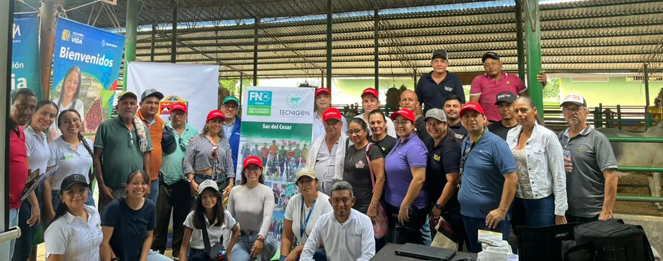Día de campo en San Alberto