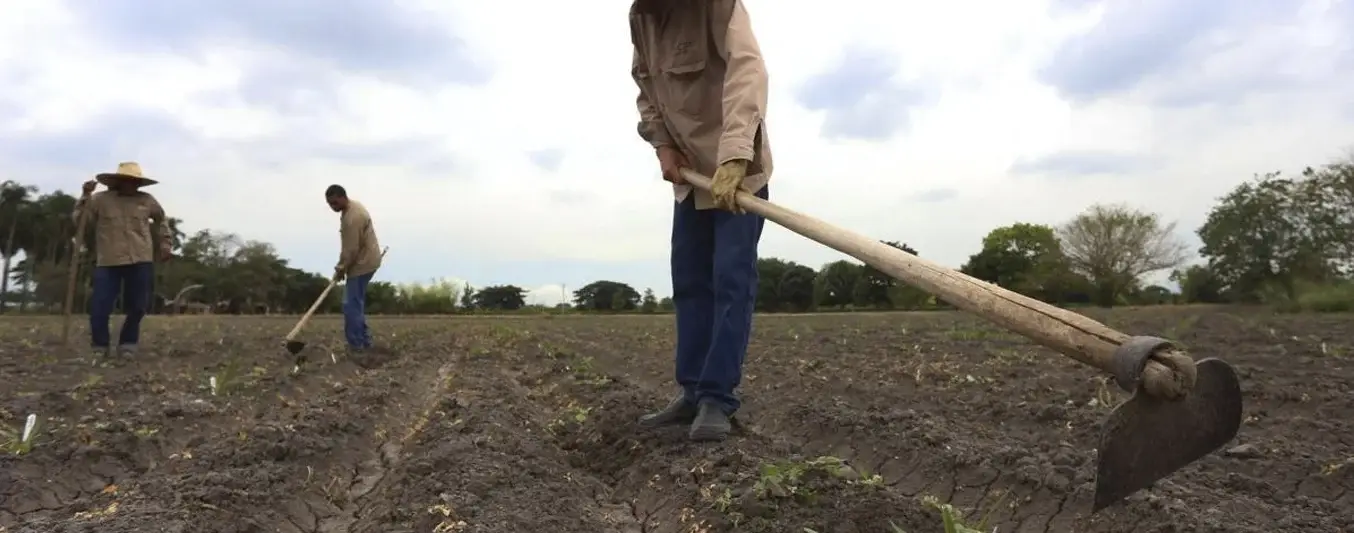 Jurisdicción Agraria