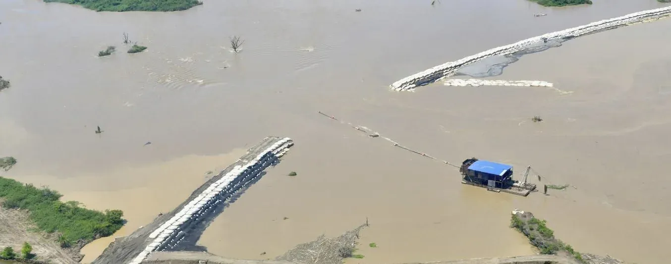 Por qué en La Mojana no se puede planificar el manejo ganadero