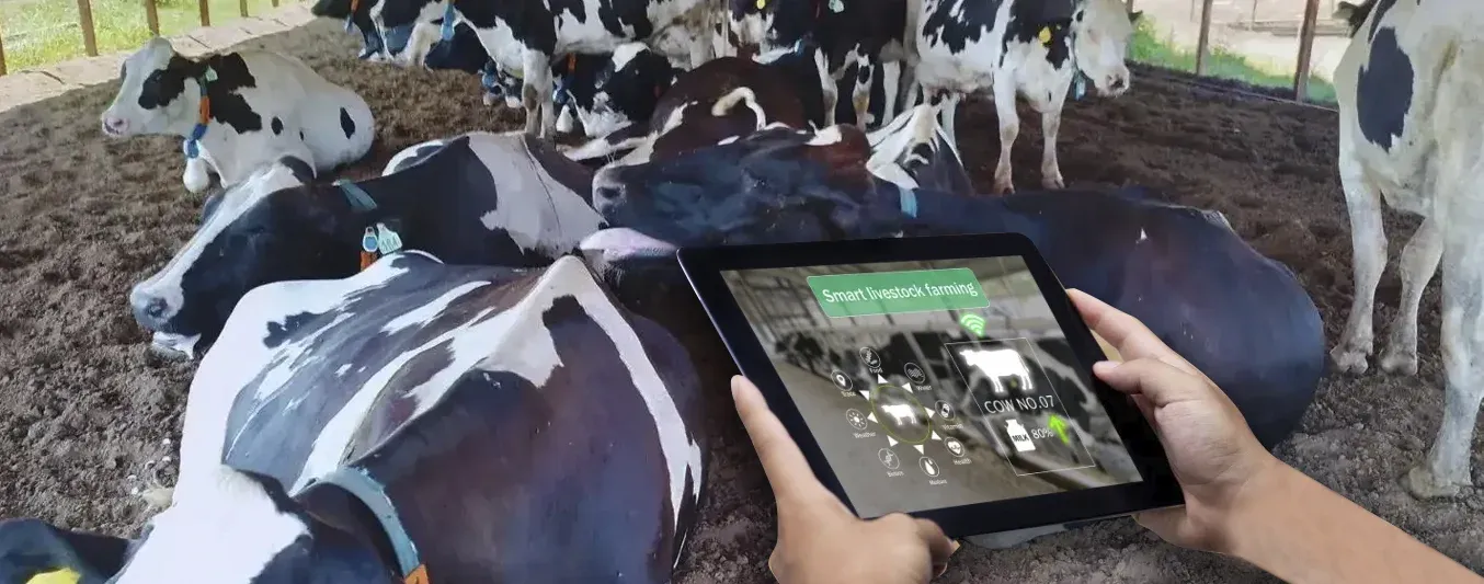 Estudios demuestran que usar tecnología de precisión contribuye a disminuir el estrés térmico