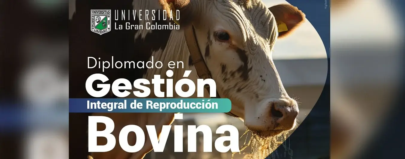 diplomado-gestion-integral-reproduccion-bovina