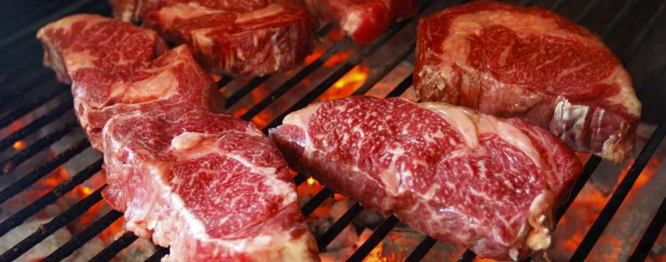 Blog de carne: protege el cerebro