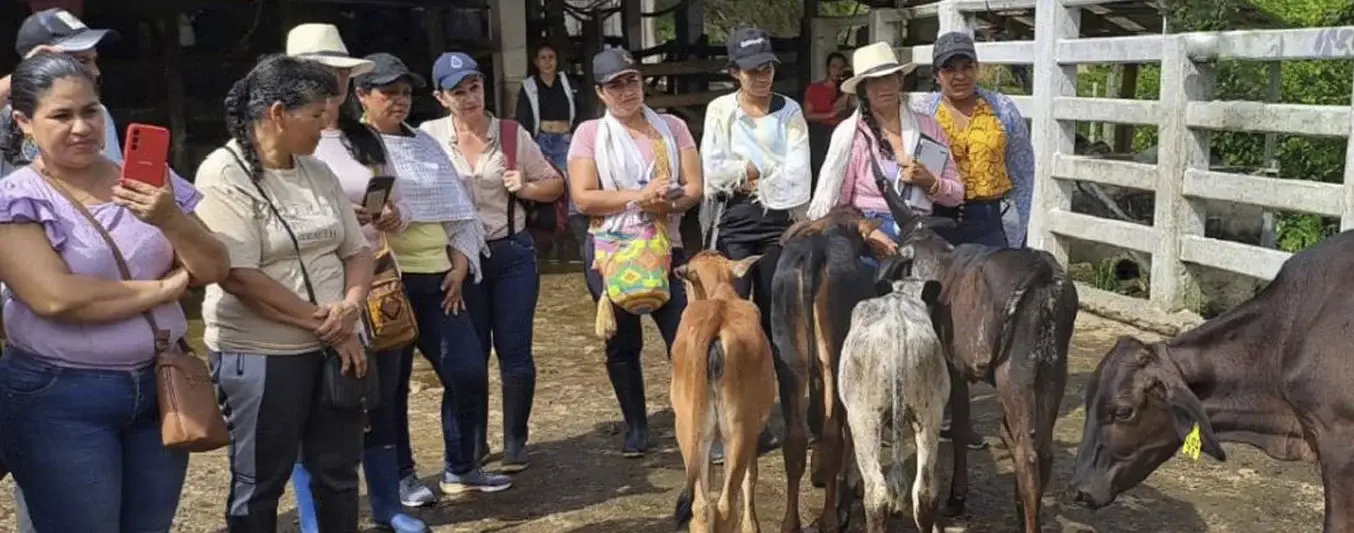 Inclusión plena de la mujer en política pública ganadera