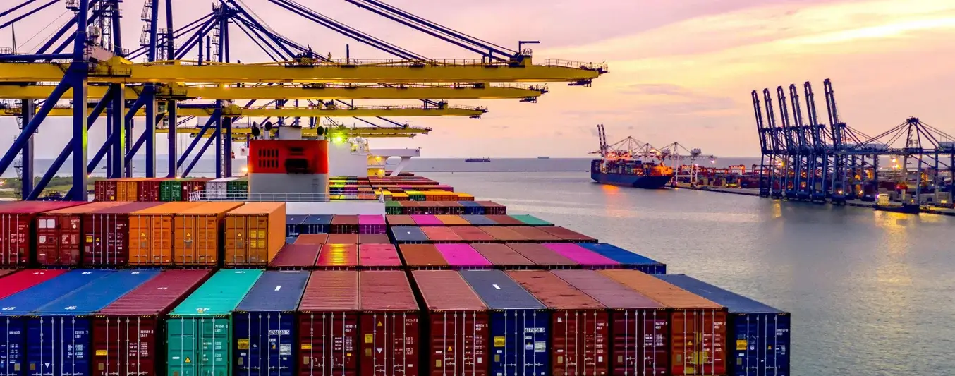 Asi se comportaron las importaciones hasta julio de este año