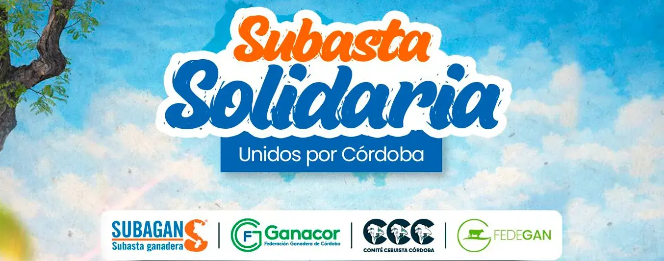 Subasta solidaria por Córdoba