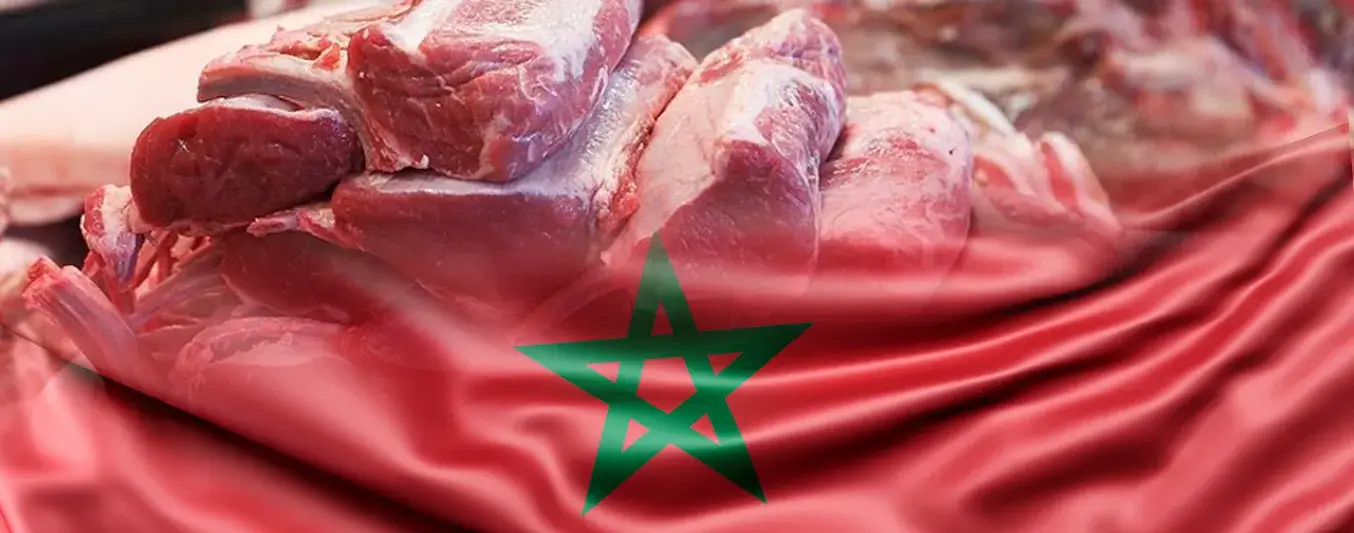 Marruecos abrió licitación para recibir 3000 toneladas de carne