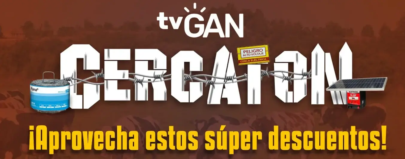 cercaton tvgan