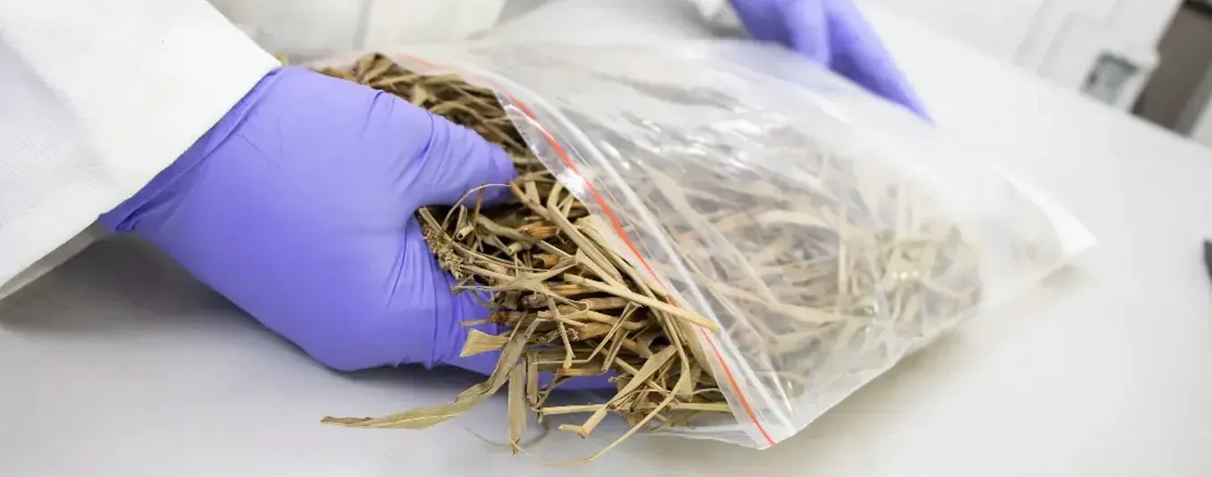 Iniciativas de Agrosavia hacen parte del portafolio de la APC