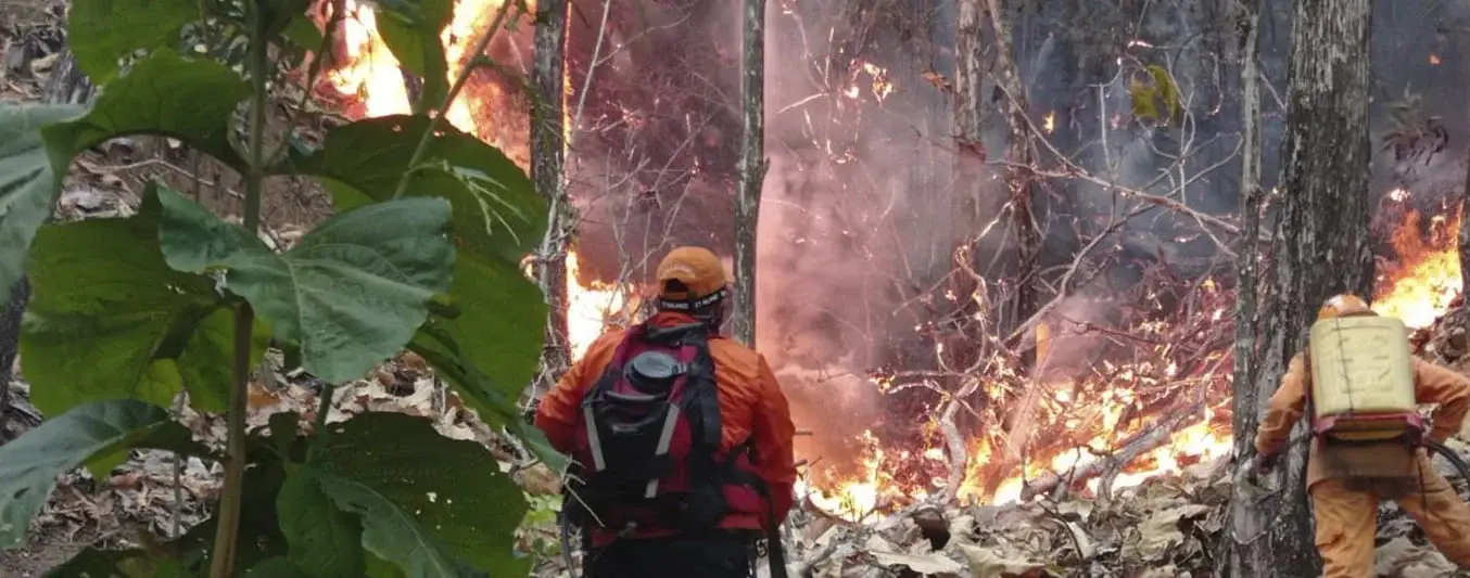 incendios en el Tolima