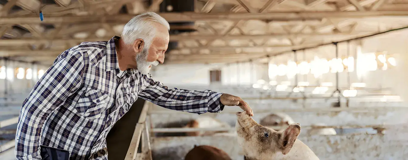 Contacto directo entre animales en el entorno productivo