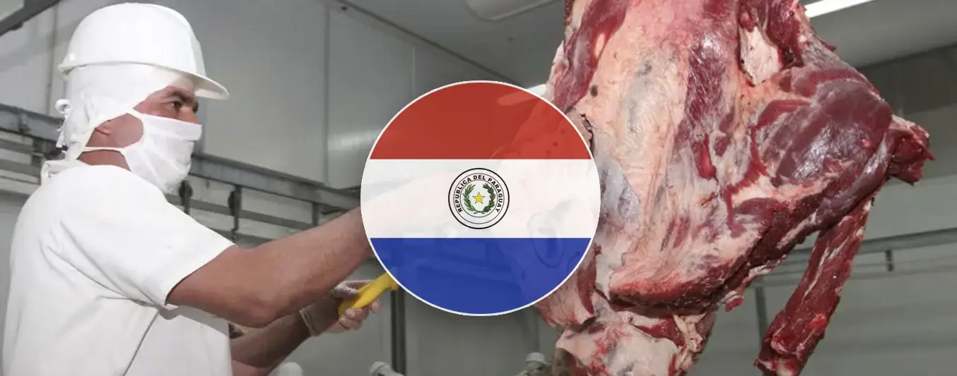 Paraguay exportó más de 25.000 toneladas de carne a EE. UU.