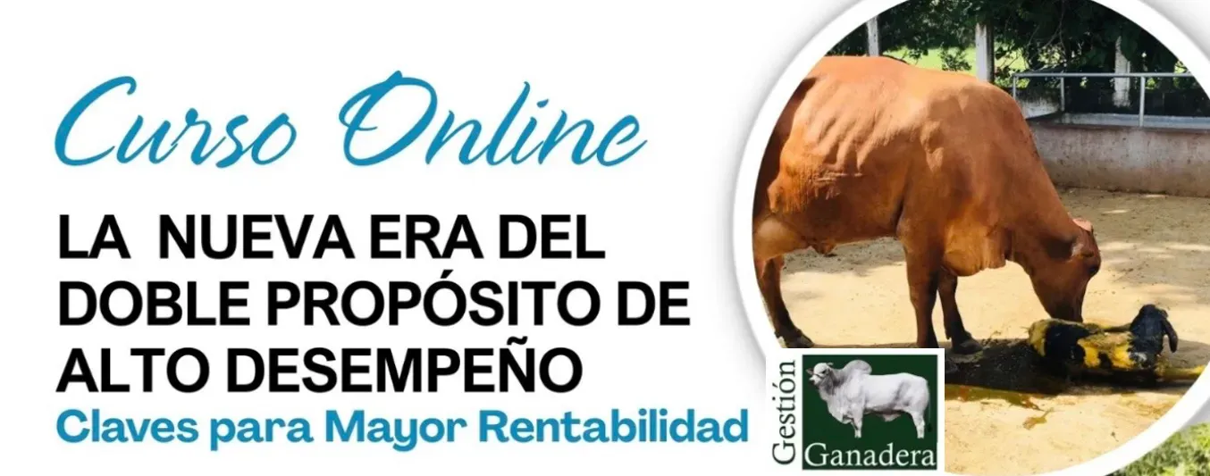 Curso ‘La Nueva era del doble propósito’