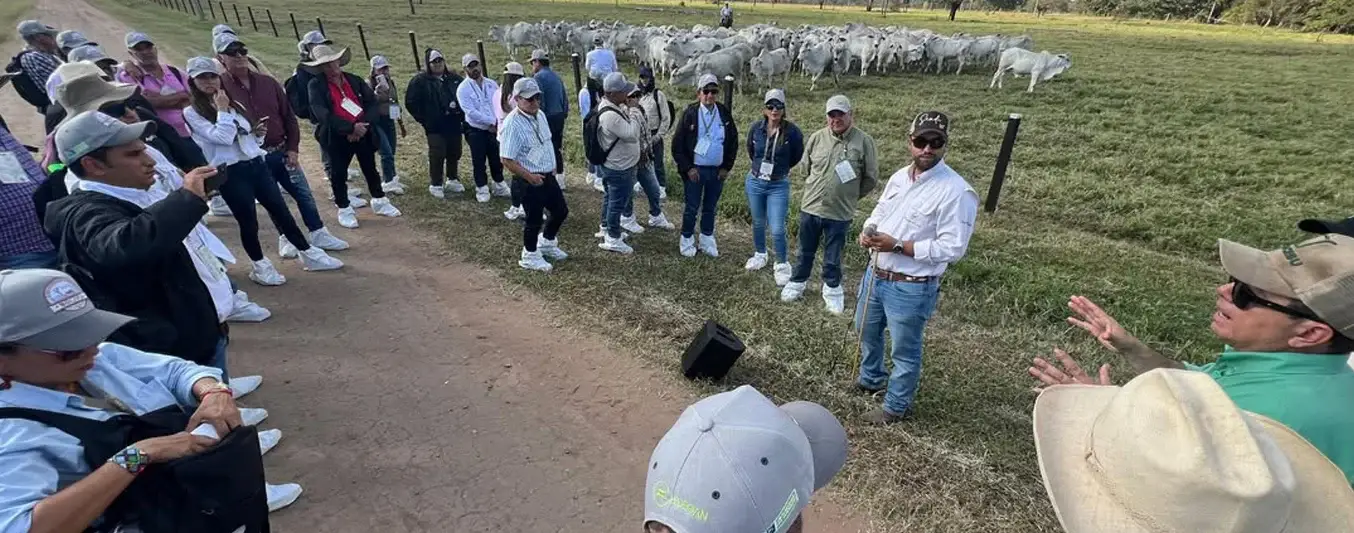 Gira internacional en Bolivia