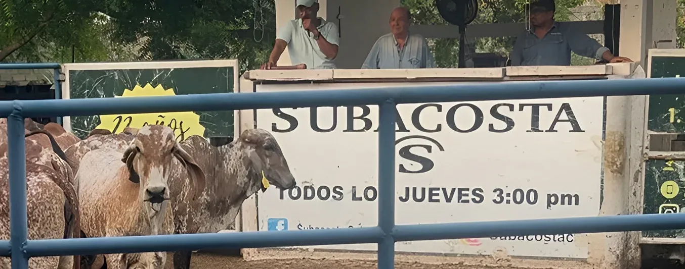 Aniversario de Subacosta